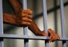 Dois detidos suspeitos de homicídio de portuguesa em Luanda e outros dois em fuga