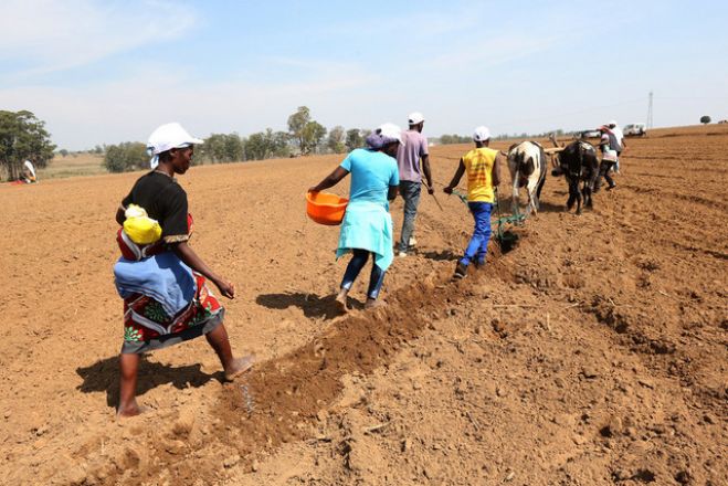 Analistas "duvidam" do plano de João Lourenço para a agricultura