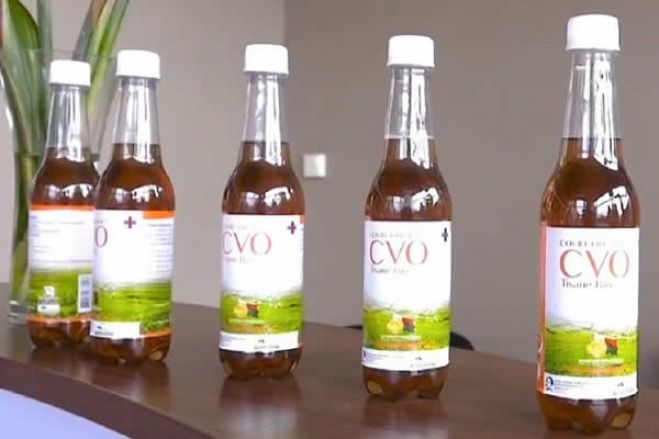 Angola prefere aguardar certificação científica sobre potencial terapêutico do 'Covid-Organics'