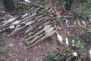 Família angolana descobre no quintal paiol com mais de 40 engenhos explosivos
