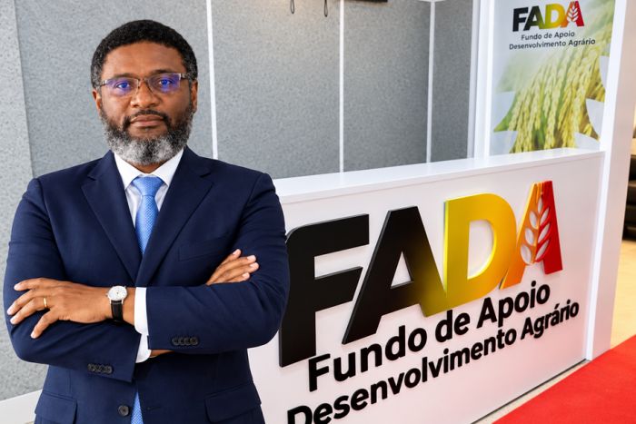 FADA sob pressão: créditos sem contratos, auditoria por esclarecer e atrasos nos projectos agrícolas
