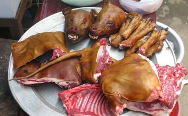 Festival de carne de cão na China arranca amanhã apesar dos protestos