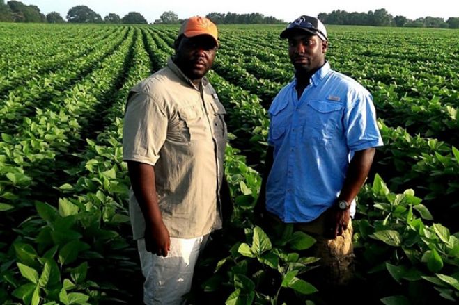 Angola registou em 2025 aumento progressivo da produção agrícola - ministro