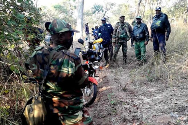 FLEC-FAC acusa exército angolano de "incursão sangrenta" na RDCongo