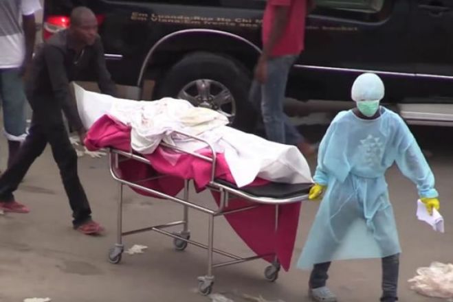 Mortes por malária em Angola diminuíram 19% em 2023