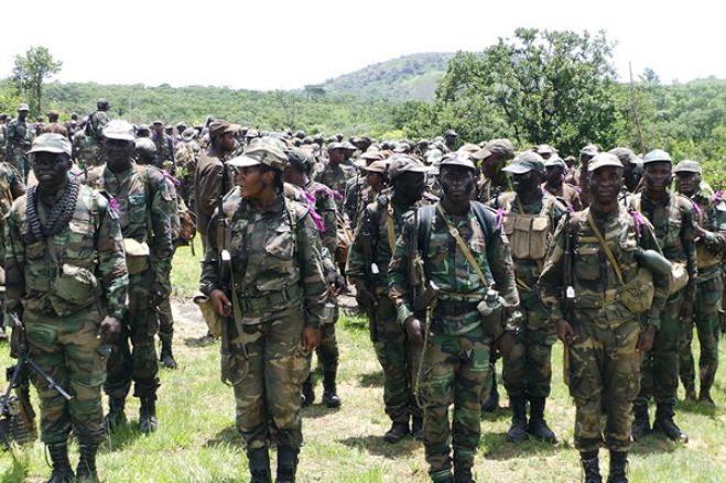 O (não) debate sobre o envio do contingente Angolano para o Congo