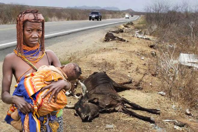 "Sobrevivência em risco." Amnistia Internacional denuncia fome no Sul de Angola