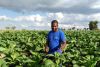 Grupo Carrinho anuncia grande projeto agrícola em África com apoio dos EUA